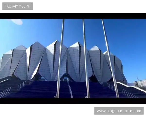 兴发体育平台特色：多样化体育项目与专业赛事直播体验